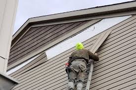 Best Custom Siding Design  in Bowman, ND